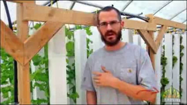 What are the Best Fish For Aquaponics