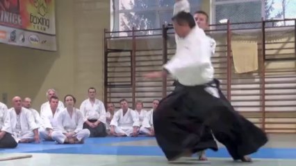 Destinations Aikido avec Michel Erb Sensei - Part 8       Pologne - Chojnice