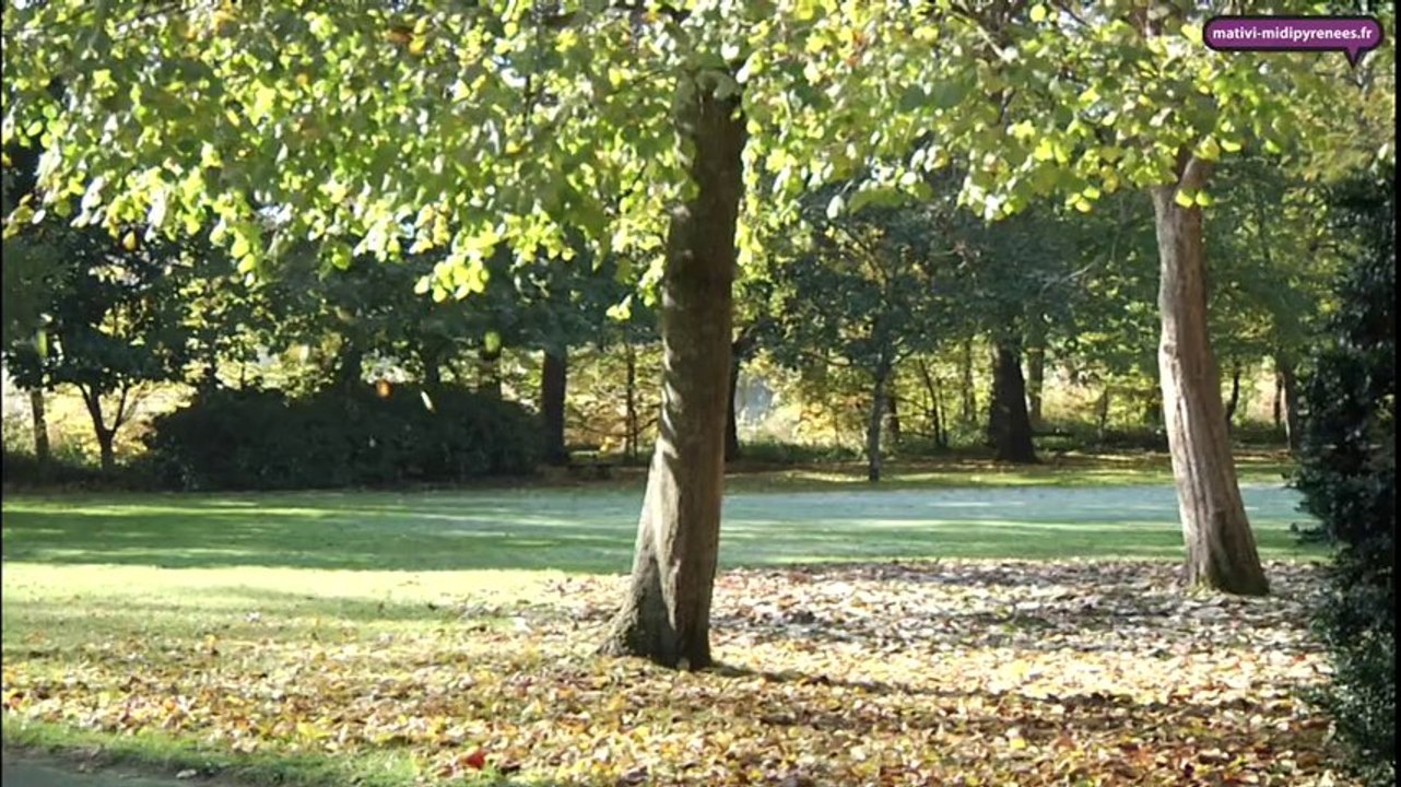 Astuces de jardiniers pour l'hivers