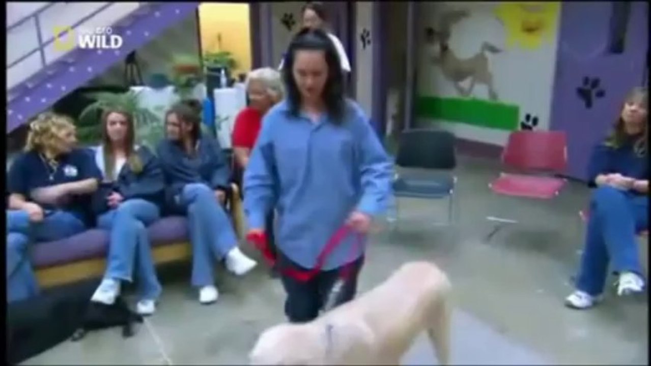 Cesar Millan S01 Ep15-2 D