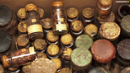 Herbier #1 - Déménager, c'est toute une histoire !