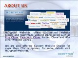 Alibaba Clone by NCrypted websites