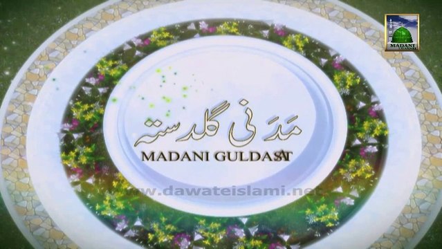 Useful Information 236 - Wudu ki Sunnatein - Maulana Ilyas Qadri