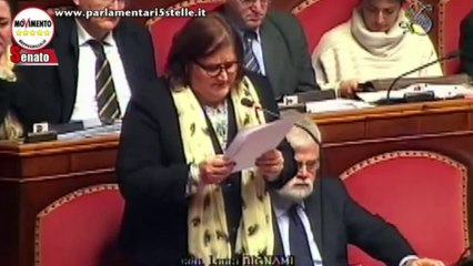 Diritti all'infanzia, M5S: "Non possono esistere bambini di serie A e di serie B" - MoVimento 5 Stelle