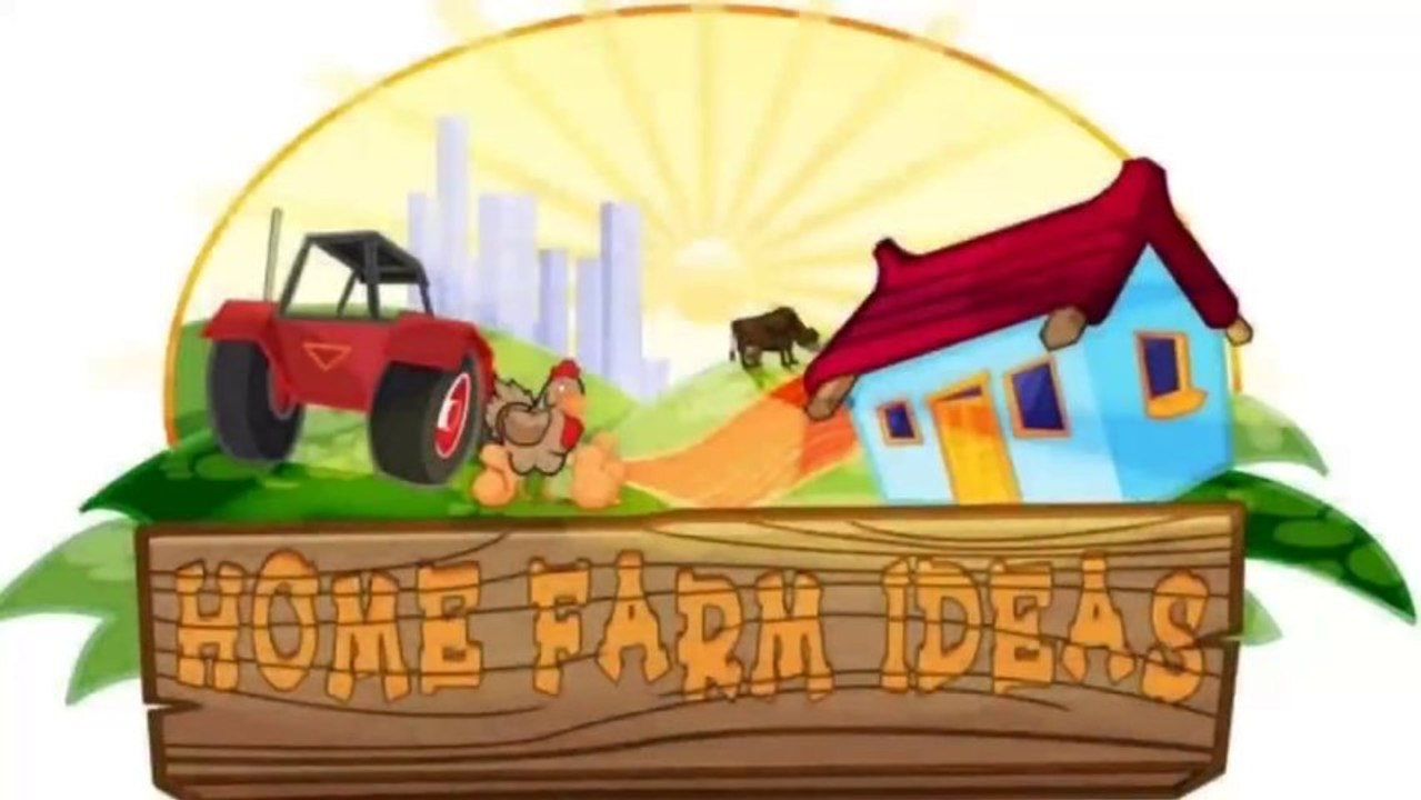 Avez-vous déjà vu... une poule qui pond un oeuf