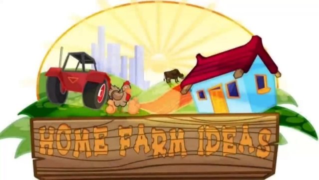 Avez-vous déjà vu... une poule qui pond un oeuf