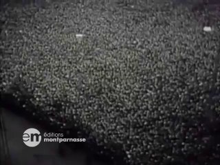 De Nuremberg à Nuremberg