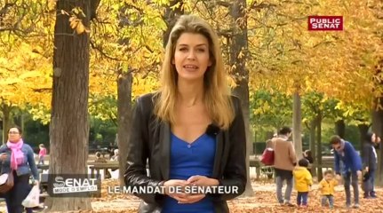 Le mandat - Sénat, mode d'emploi