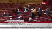 Suite du projet de loi de financement de la sécurité sociale pour 2014 - En séance