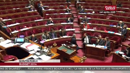Projet de loi de finances pour 2014 - En séance
