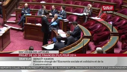 Projet de loi de finances pour 2014 - En séance