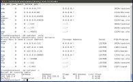 Redhat-Linux Common Network Utilities_Tools