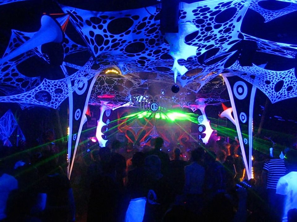 31/12/2011 Gaia new year  déco Organik Garden au Lavoir Moderne paris