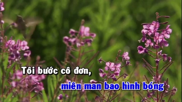 Chuyen Xe Mien Tay - Manh Quynh [Karaoke Dual]