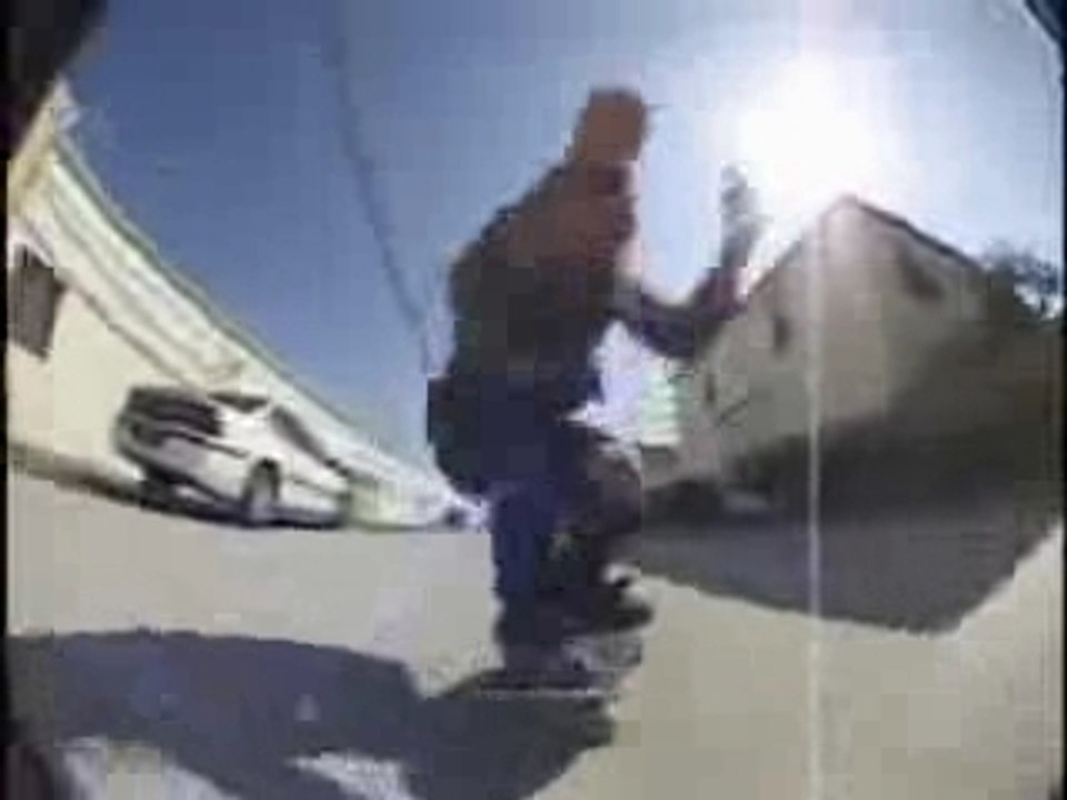 ragdoll pig slaugterhouse