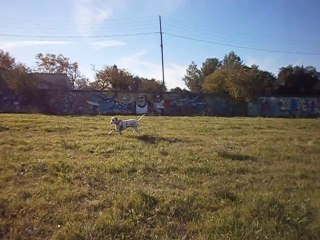 Gandhi au parc de saint tronc le 01/12/2013