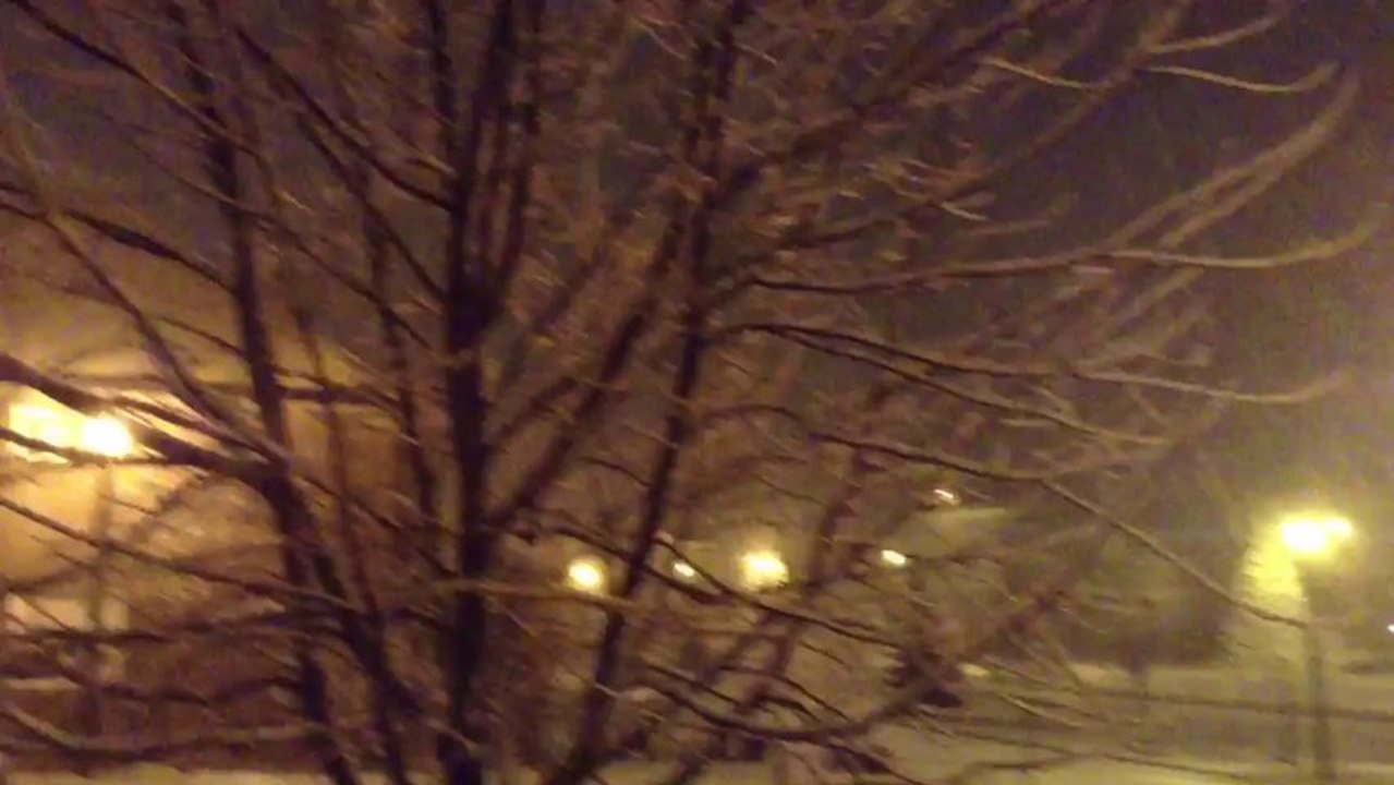 First snow fall