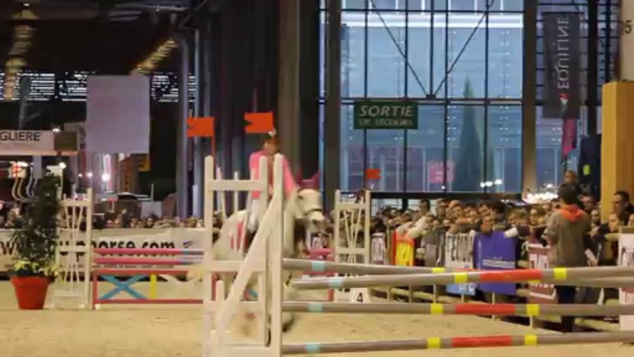 Salon du cheval, Andréa & Etoile, 30 novembre 2013 - 2e parcours.