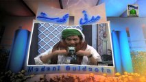 Islamic Information 248 - Allah O Rasool per Jhoot Bandhna - Maulana Ilyas Qadri