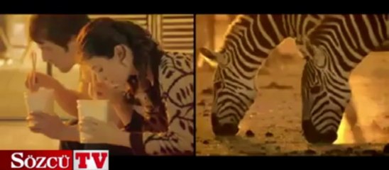 Doğa ve insanın uyumu