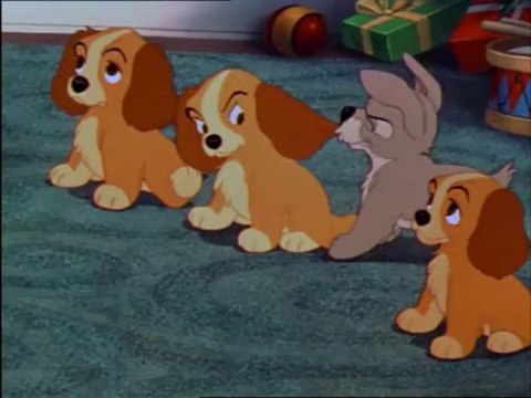 Lilli e il vagabondo - Scena finale - Natale con tutta la famiglia