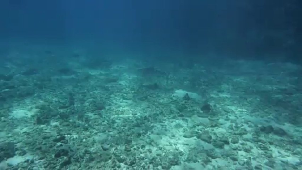 2013-10-16 Beautemps - Beaupré 022