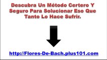 Flores De Bach Para Que Sirven