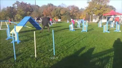 Eclipse Concours de Chateaubriant 2013