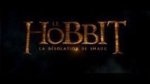 Le Hobbit : La desolation de Smaug - Spot TV #2 [VOST|HD]