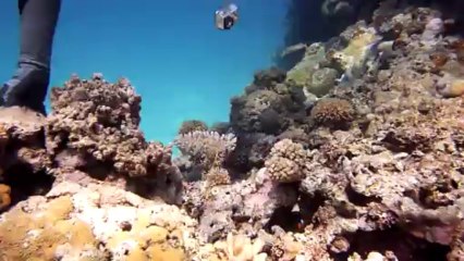 2013-10-16 Beautemps - Beaupré 053