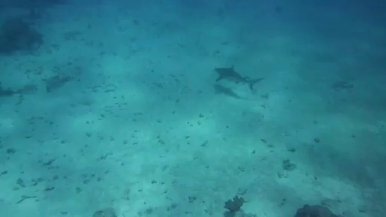 2013-10-15 Beautemps-Beaupré 019