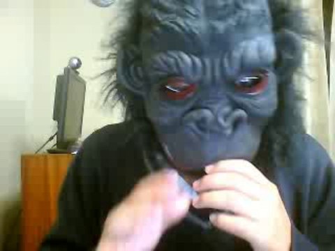 Los Celentarados por Ronaldo Cabanillas (el monito que no es akapellah)