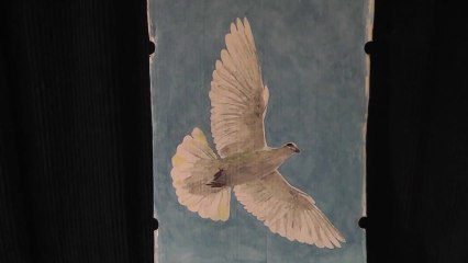 Suzi s Doves 50 - Painting By Numbers
