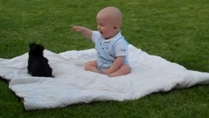 Puppy Attacks on Baby - Video Dailymotion
