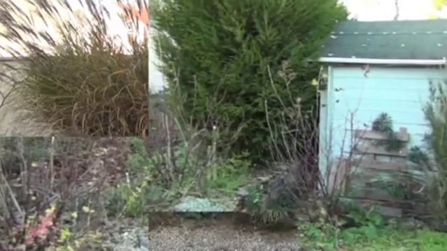 Til chatel secteur Maison plain pieds - Agence CARREZ immobilier