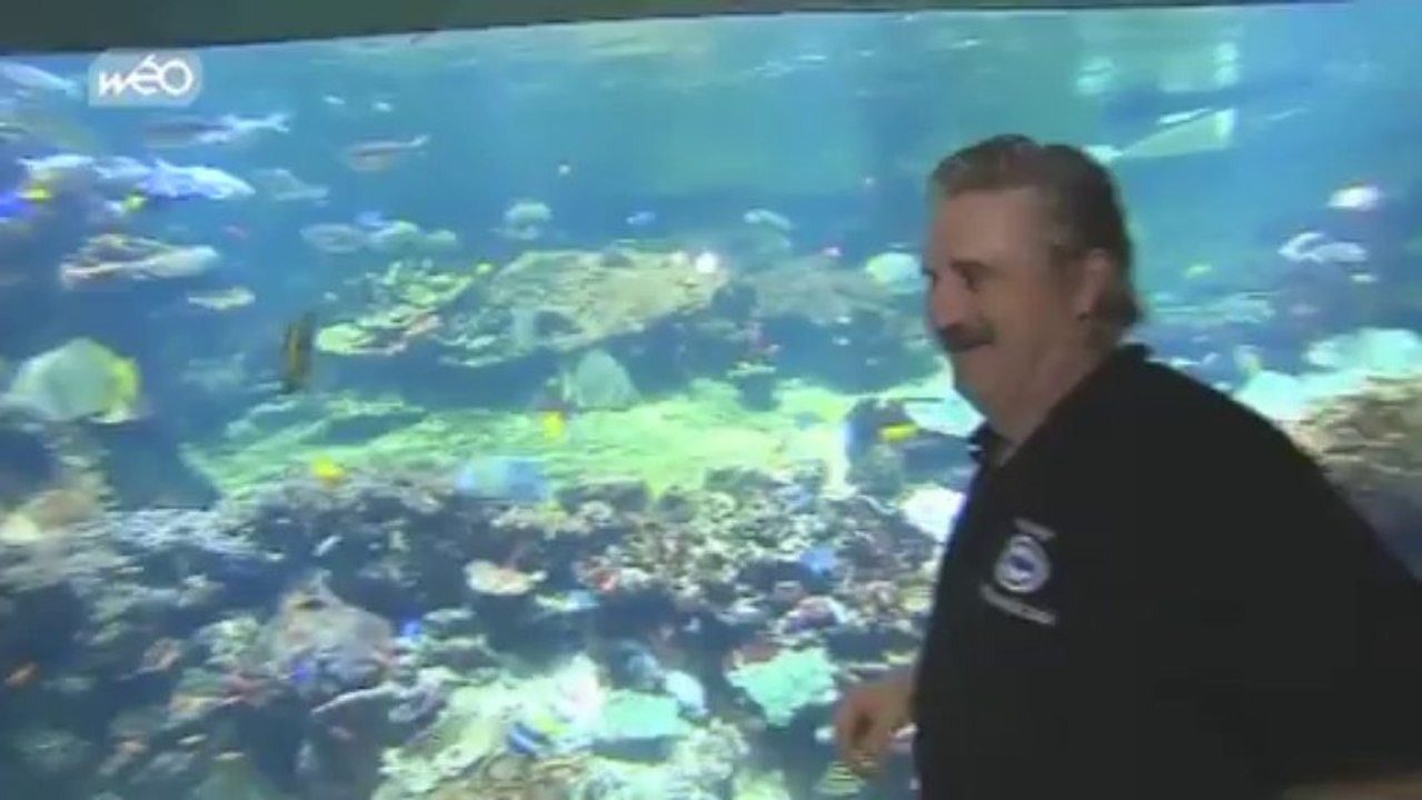 Une ville, un symbole : Boulogne-sur-mer - Nausicaa