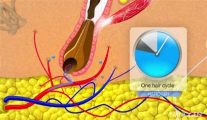Nanogen Hair Growth Factors