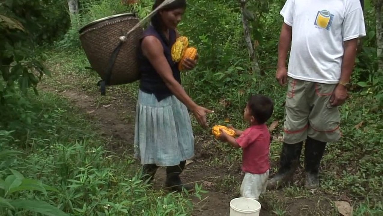 Al encuentro de la Pachamama