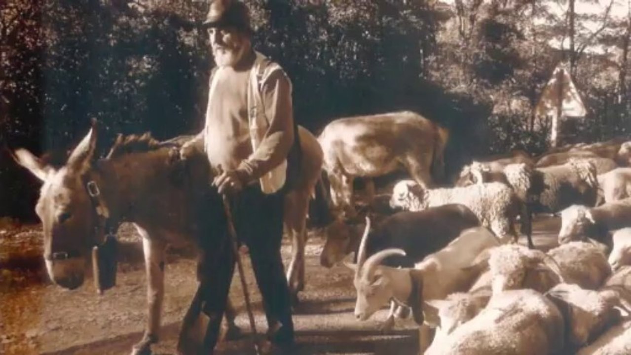 Lei Pastourèu