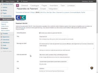 Paramétrage de la passerelle de paiement CM-CIC pour WooCommerce