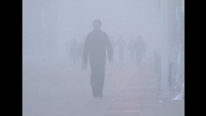 Smog disrupts traffic in northeast China