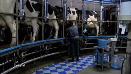 Prix de l’installation 2013 : Rencontre avec Benjamin Chaillou