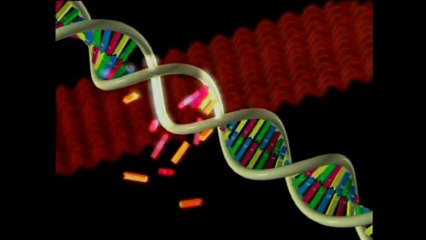 Təkamül nəzəriyyəsinin xəyali mexanizmləri - 1