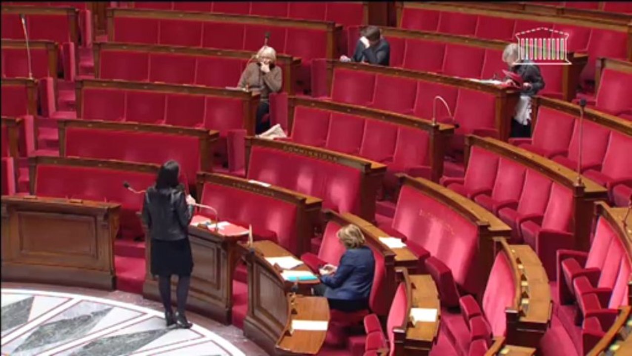 Question Orale sans Débat - Sylvia Pinel - Commerce de proximité - 3 décembre 2013