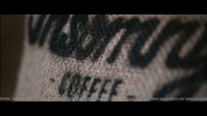 Terres de Café torréfie Insomny pour Canalplay