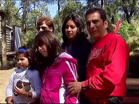 Мексика: вырубка сосен на праздник стала «зеленой»