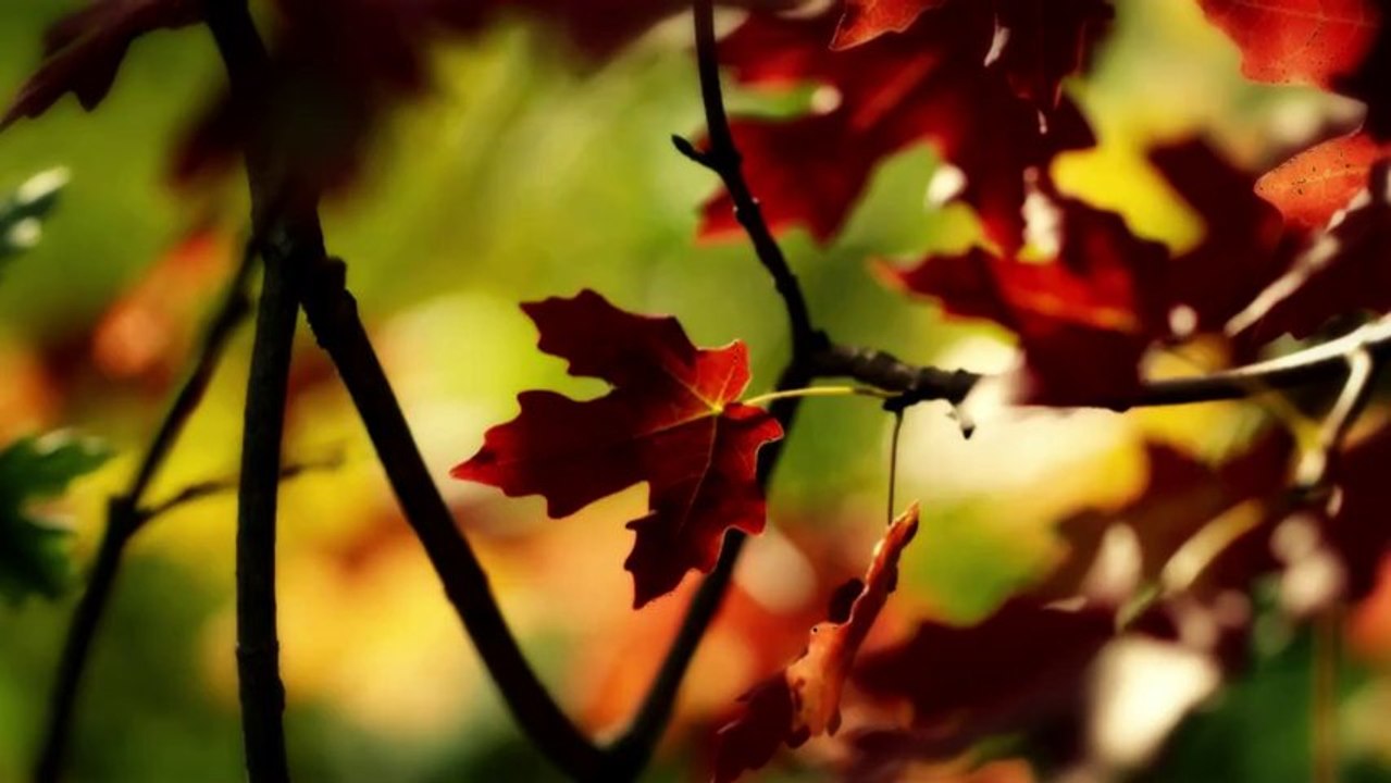 HEREM YARE SELAM SÖYLEYİN 2013  YENİ KLİP