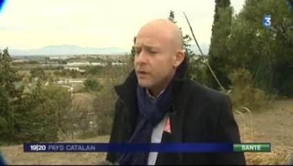 Reportage JT France 3 Pays Catalan - Délocalisation de 500 emplois de la côte vermeille sur Perpignan