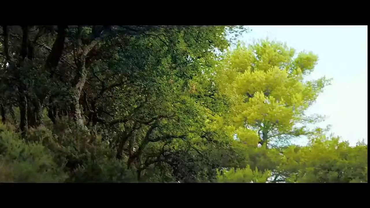 Vidéo : Audi fait rouler le Sport Quattro Concept