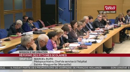 Audition de Guillaume Gaubert sur le rythme scolaire - En séance